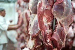 chubs meats