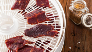 food dehydrator beef jerky