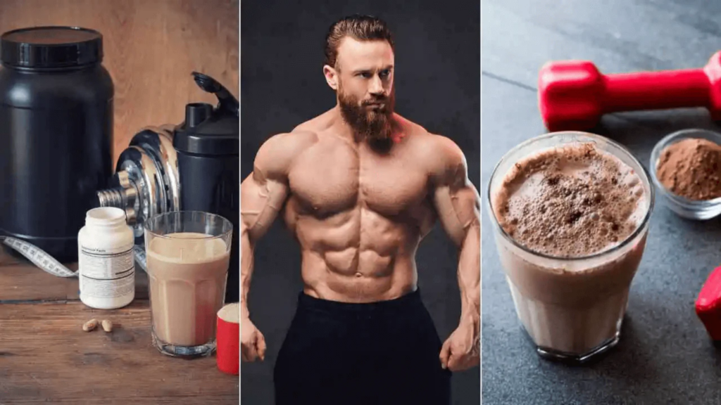 Why a Carnivore Protein Shake Belongs in Your Routine