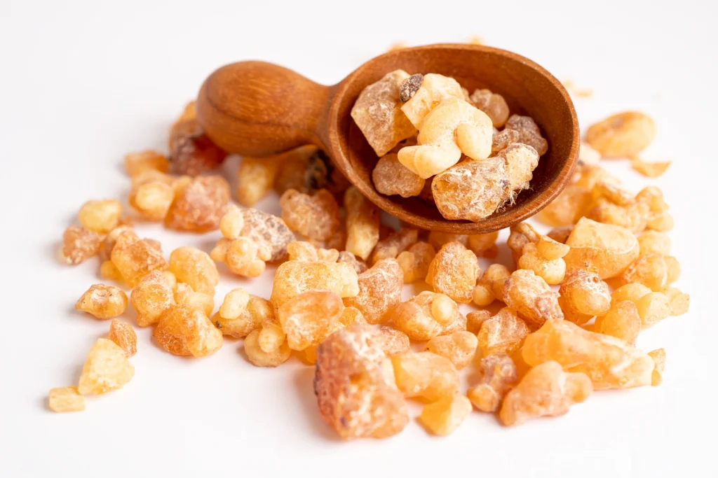 Mastic Food Recipes: What Makes Mastic Unique in Culinary Use
