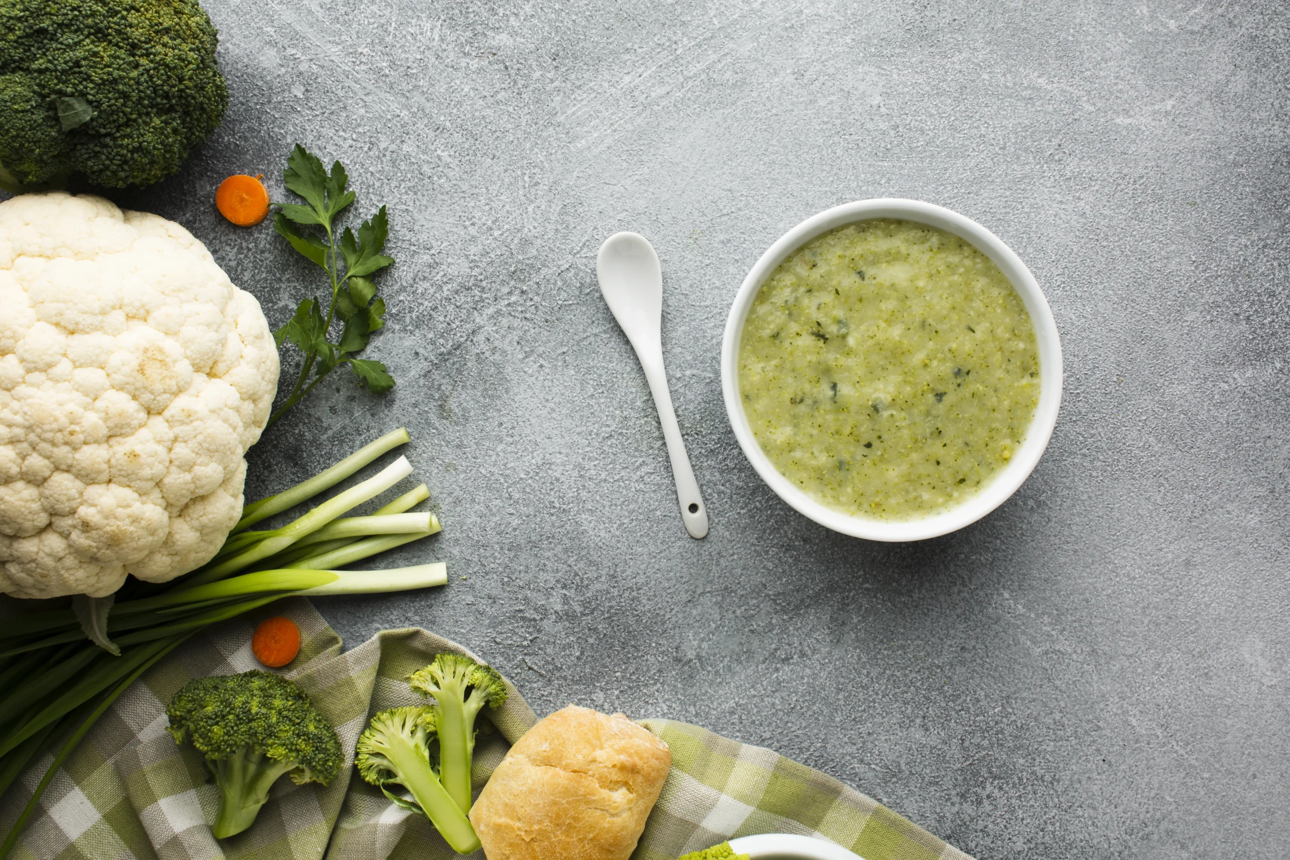 pureed food recipes for gastric sleeve