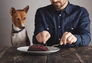 deer meat dog food recipe