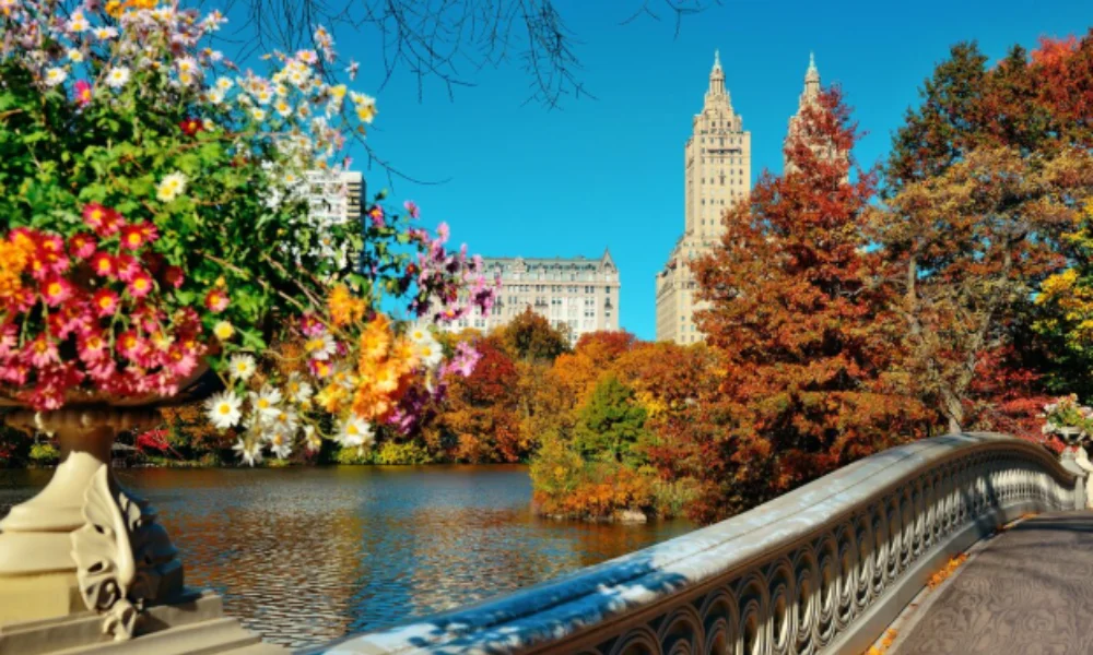 View of an ornate bridge in Central Park adorned with vibrant flowers