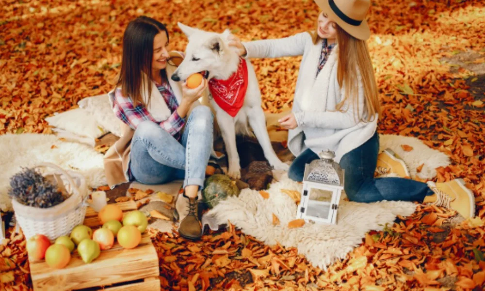 Two women sit on a blanket during an autumn day park-good travel destinations in october