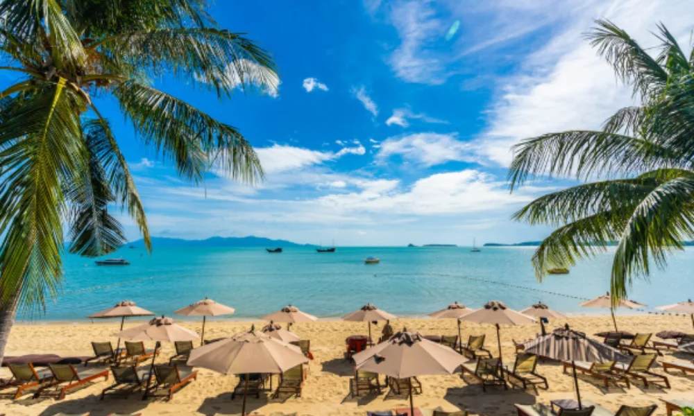 Sunny beach scene with palm trees framing lounge chairs and umbrellas on golden sand-travel destinations in cuba