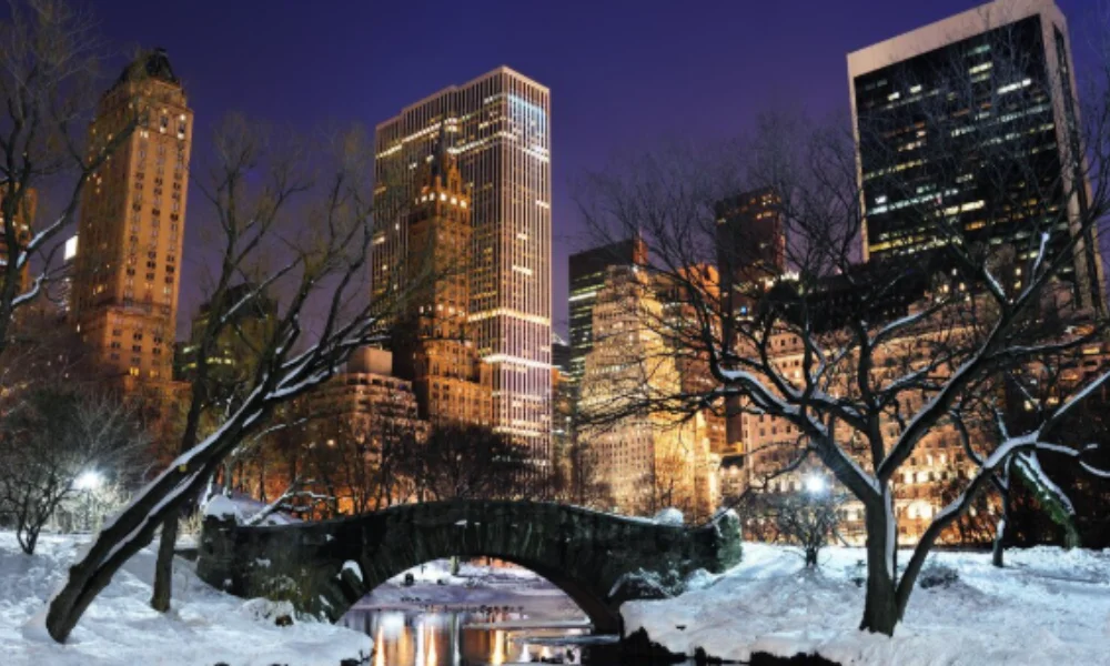 A snowy Central Park at night with a stone bridge and bare trees in the foreground