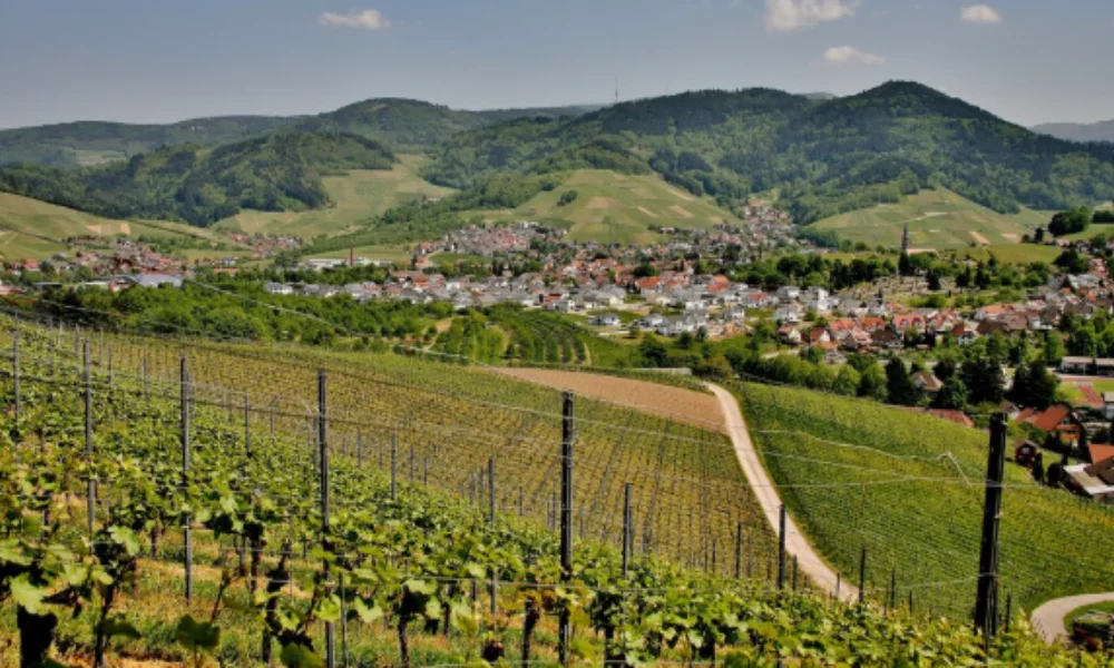 Scenic view of a vineyard on a hillside overlooking a small town-places to visit in france
