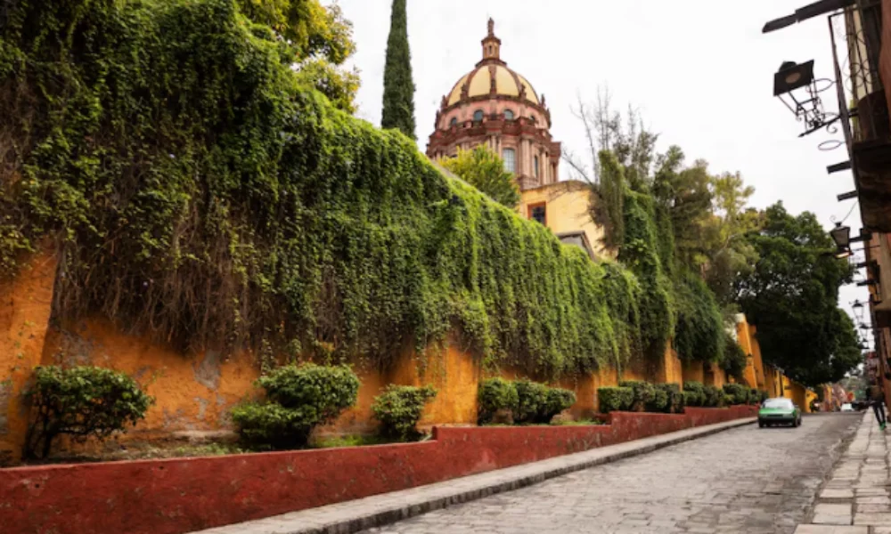 Cobblestone street lined with bright yellow walls covered in lush green ivy-places to visit in guatemala