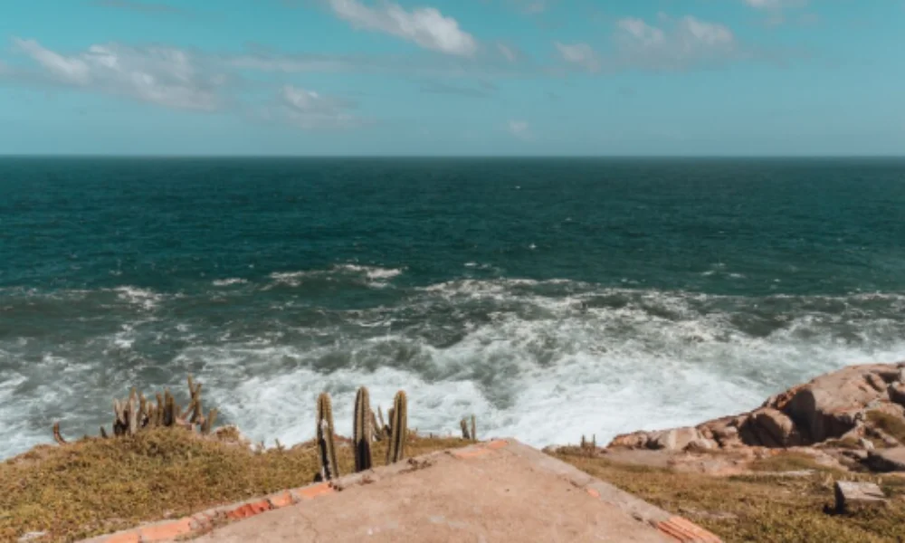 Coastal view of a rocky shoreline with cacti in the foreground