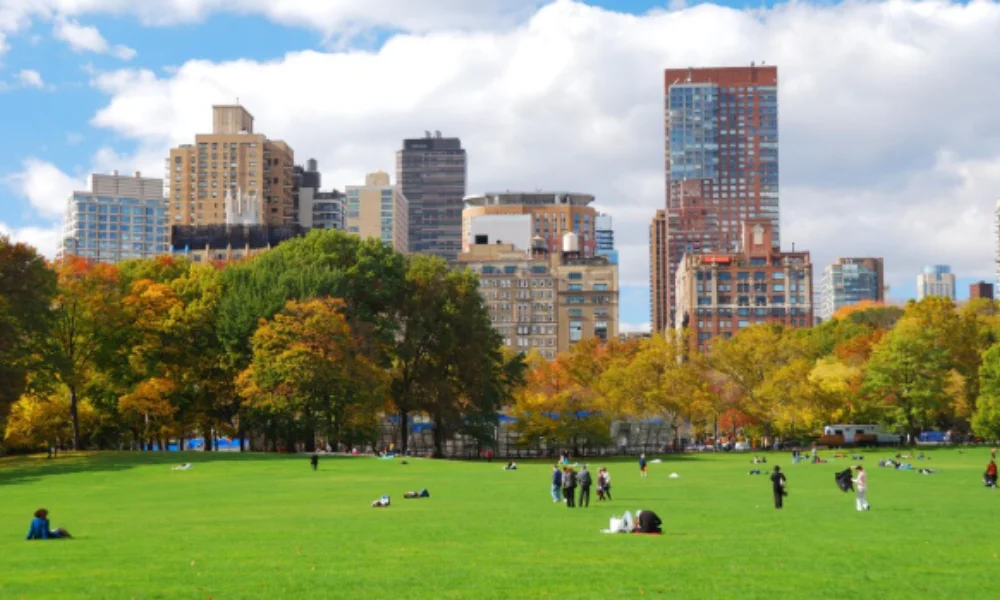 A vibrant city park with people lounging on lush green grass-things to do in washington state