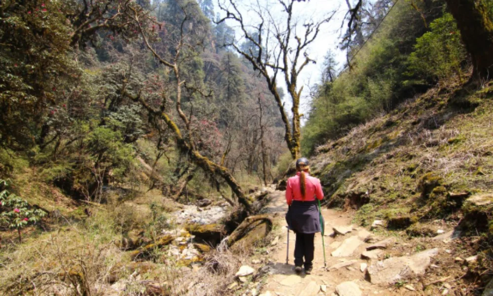 A person in a pink jacket hikes along a rocky, forested trail with trekking poles-Places to Visit in Vermont