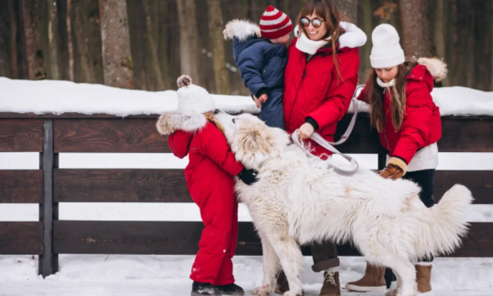 A family in red winter clothing, standing in snow by a wooden fence with a fluffy white dog-places to visit during christmas