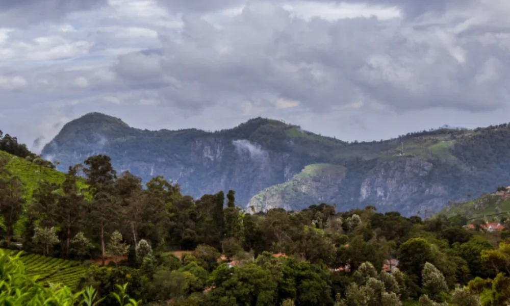 Scenic mountain landscape with lush green forests and tea plantations under a cloudy sky