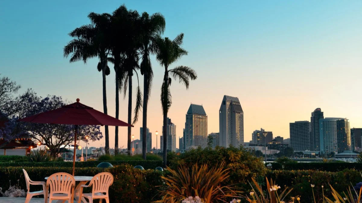 A warm sunset illuminates a city skyline with distinctive skyscrapers