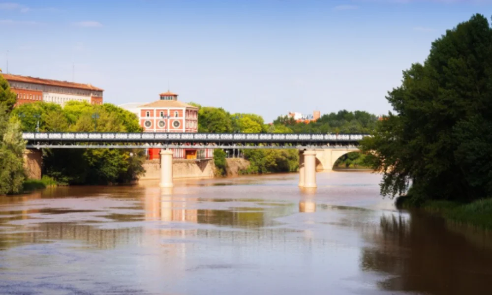 Railway bridge over a calm river, surrounded by lush trees