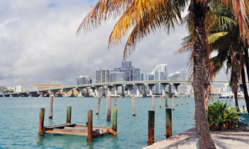 Tropical waterfront scene with palm trees framing a view of a city skyline and bridge-places to go in the us