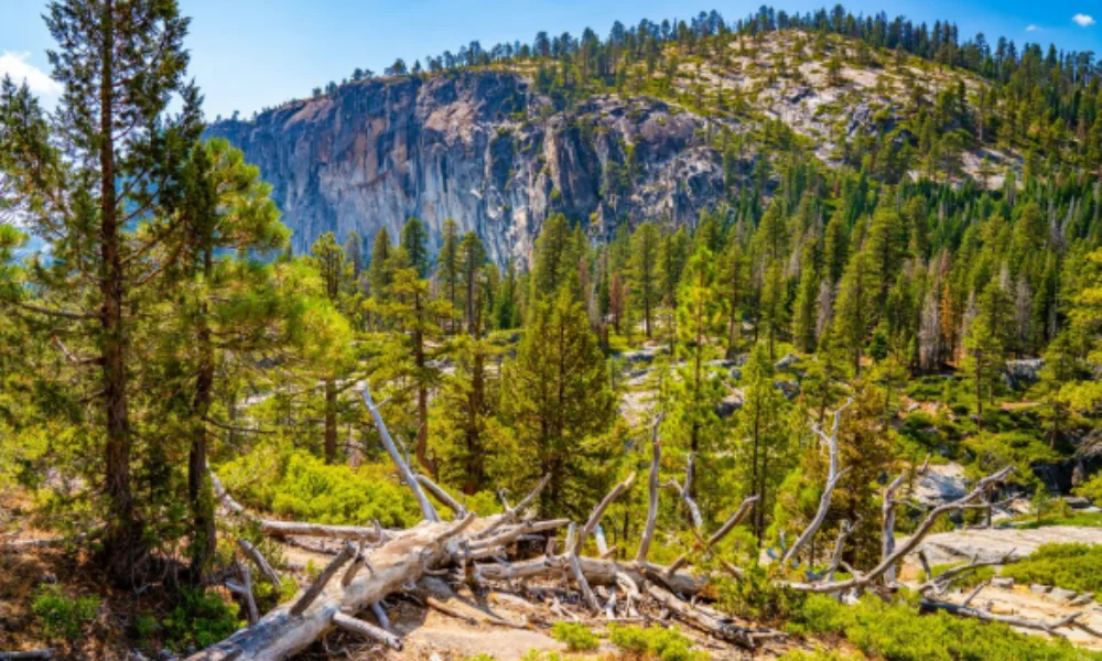 Vibrant mountain landscape with dense pine forest, rocky cliffs-colorado places to visit