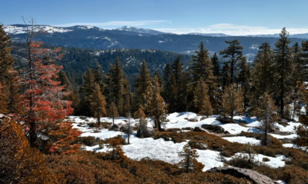 Scenic mountain landscape with evergreen and red-leaved trees scattered amidst patches of snow-places to visit during christmas