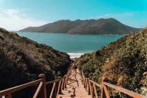 Wooden stairs descend through lush greenery towards a serene, blue ocean