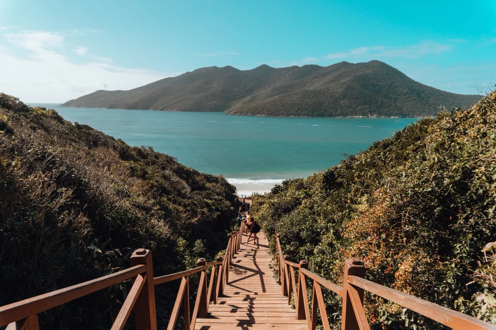 Wooden stairs descend through lush greenery towards a serene, blue ocean