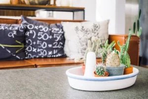 Temu Home Decor: Affordable Solutions for Every Home