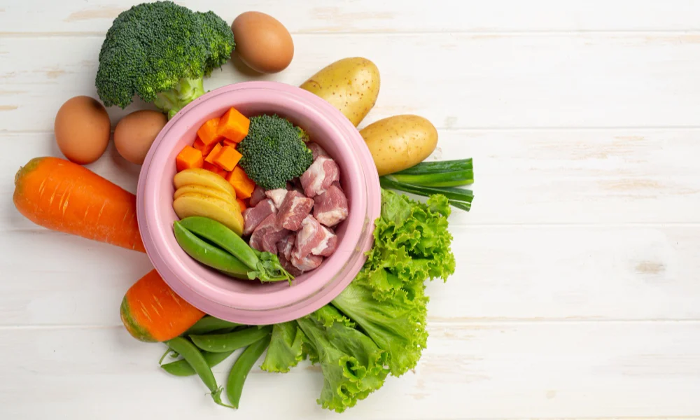 pink bowl with raw meat, broccoli, and chunks