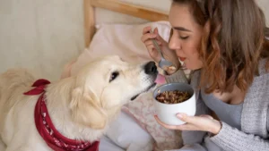 golden retriever and a woman