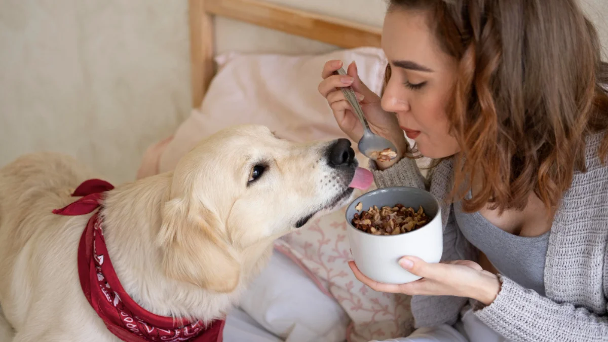 golden retriever and a woman