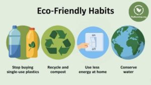 eco friendly lifestyle tips