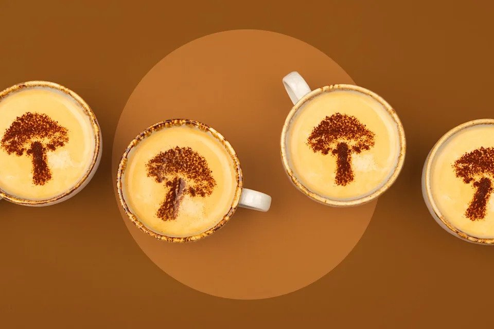 mushroom coffee usa