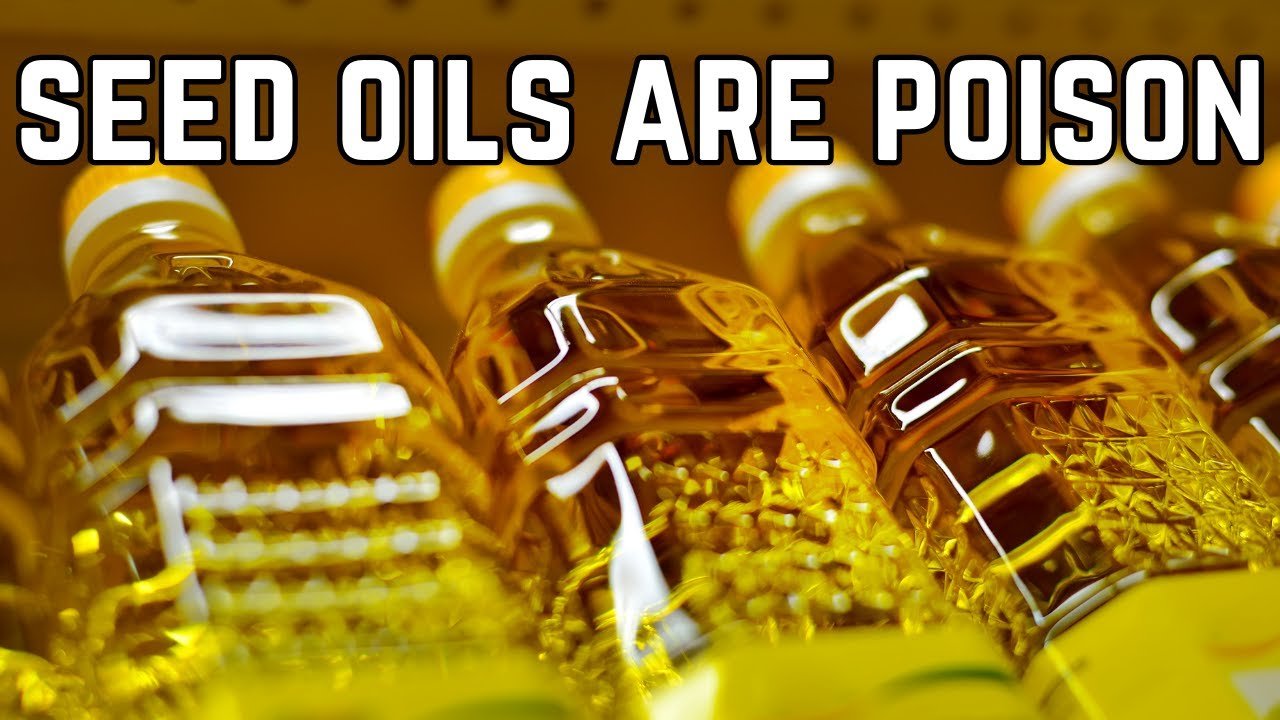 seed oil debate usa