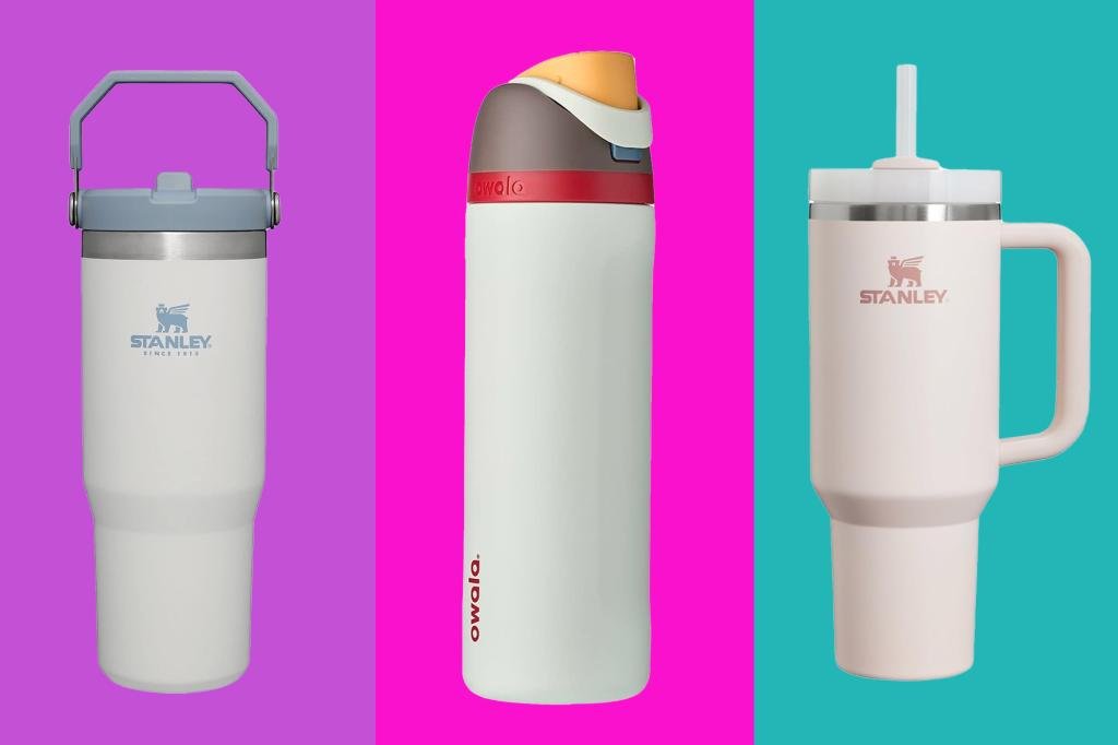 stanley vs owala water bottle