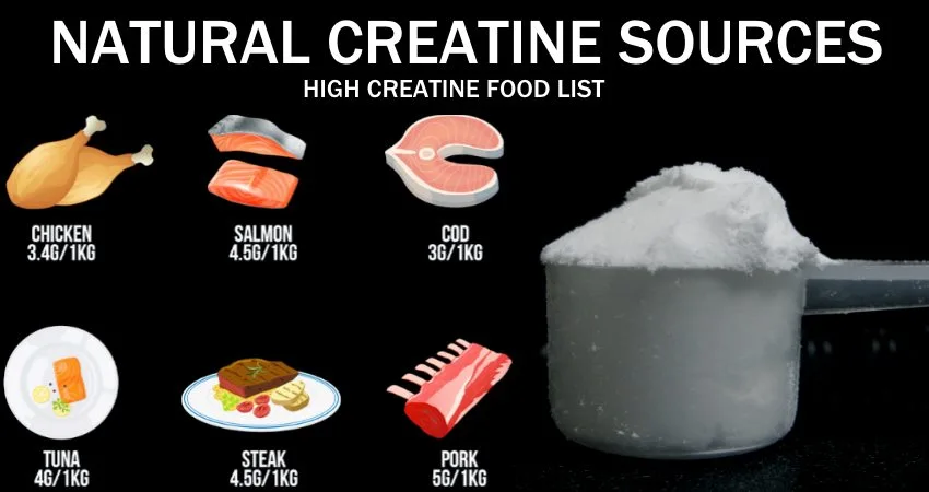creatine in food sources