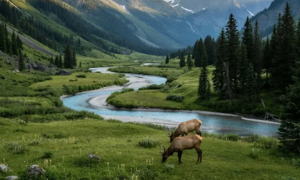 Scenic mountain valley with wildlife and a flowing river for places to visit in 2027.
