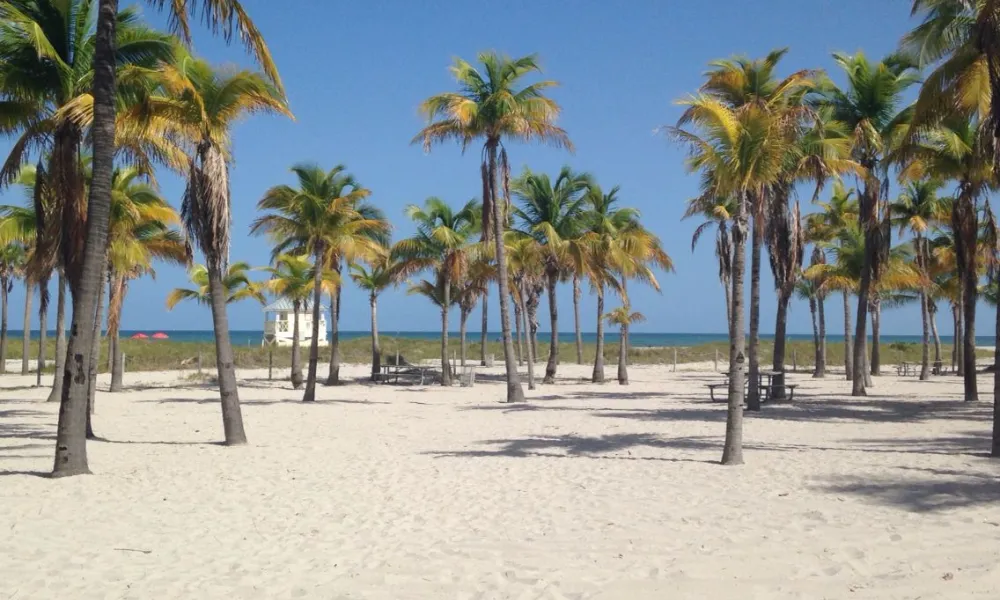 Tropical palm tree beach park in Key Biscayne for Best Beaches in Miami.