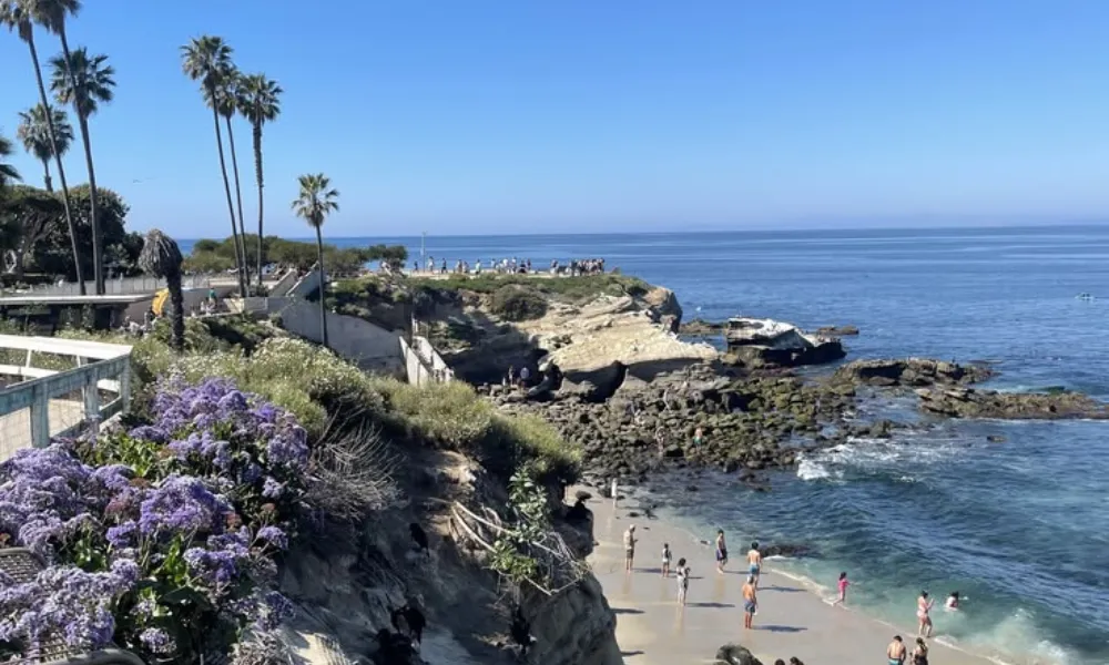 La Jolla coastal beach view and ocean scenery for Best Hotels in San Diego.